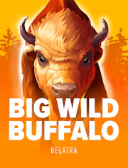 Image du jeu Big Wild Buffalo